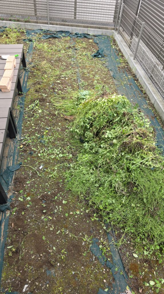 雑草の山と草むしりをして地面が見えるようになった庭の様子。