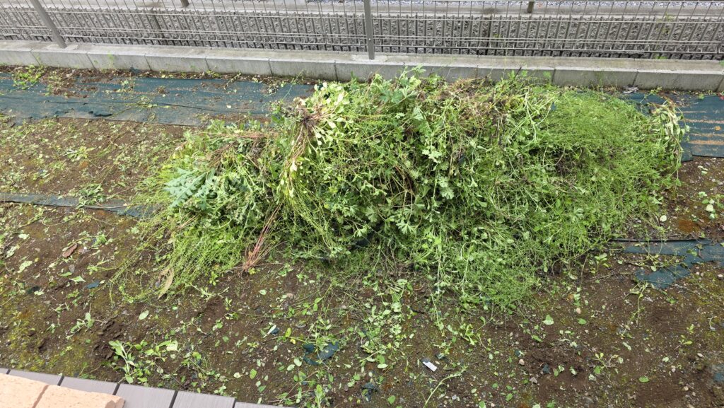 雑草の山と草むしりをして地面が見えるようになった庭の様子。