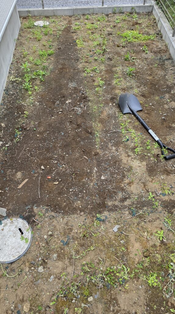 防草シートを全て取り払って地面が完全に見えるようになった庭の一角。
