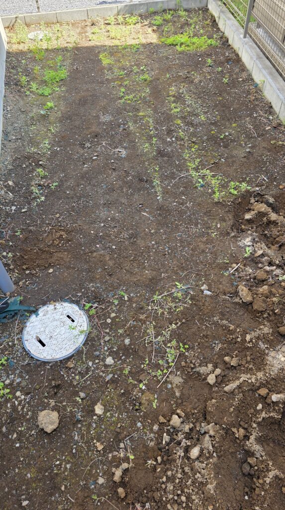 草むしりをしただけで手つかずの庭