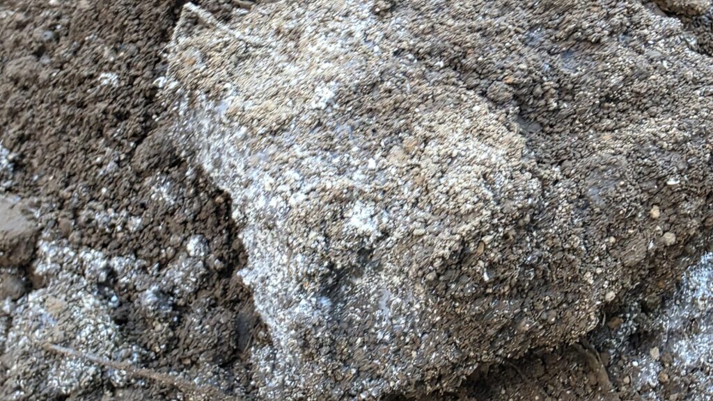 米ぬかを撒いて雑草を鋤き込んでいた部分を掘り返したら地中で米ぬかや土をくっつけるように糸状の胞子が出ていた。微生物が活発に活動している。