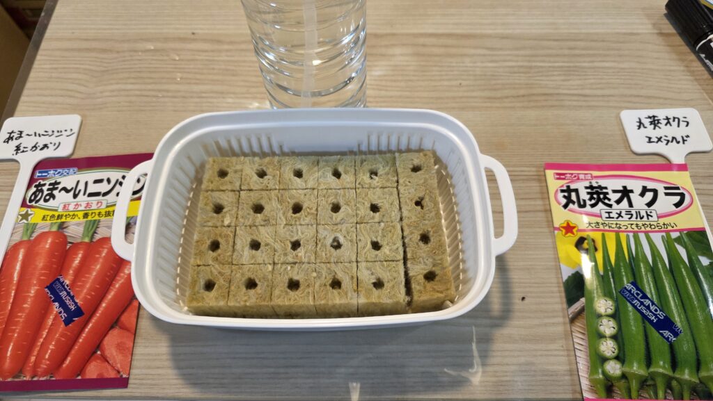 あま~いニンジン紅かおりの種、豆苗プランターに並べたロックウール、100倍に薄めたメネデールが入ったペットボトル、丸莢オクラエメラルドの種