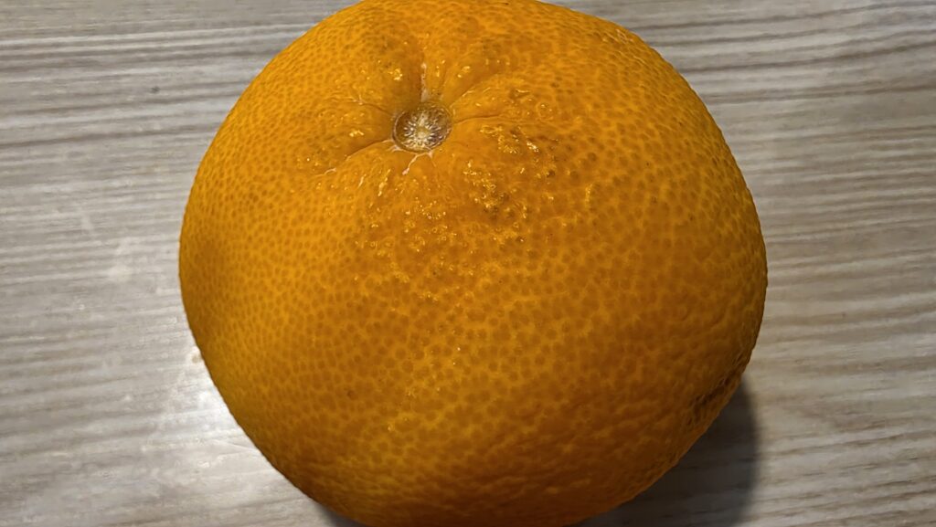 甘夏