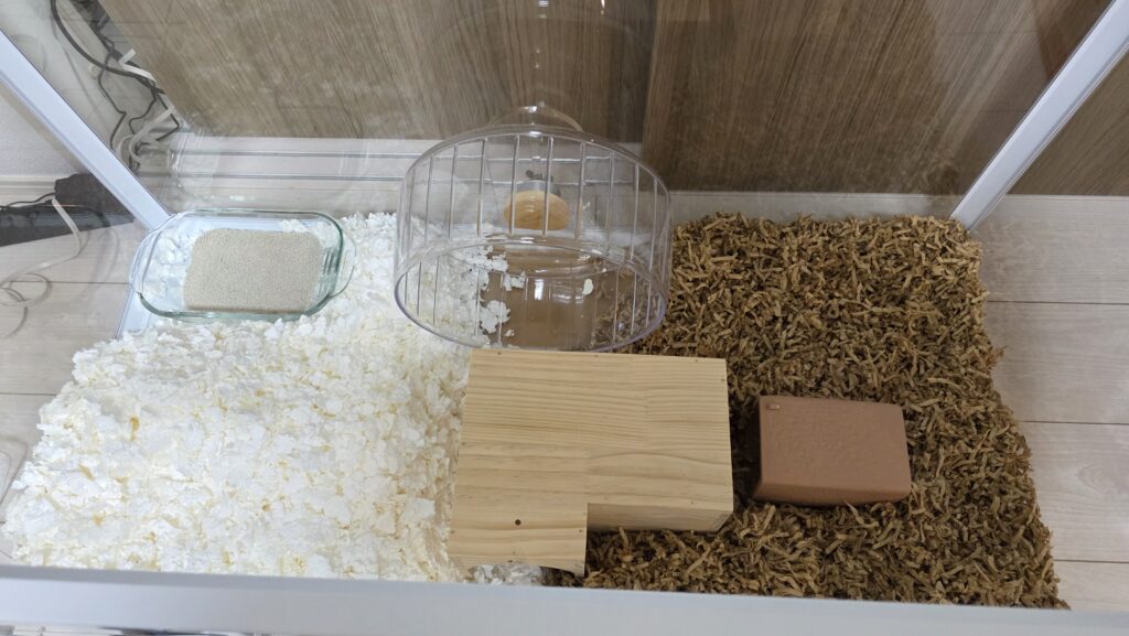 ケージ内の様子。右半分と左半分で別々の床材を敷き、届いた隠れ家やテラコッタトンネル、100均で買ってきた耐熱皿にトイレ砂を入れたトイレなどを設置してひまわりちゃんのお迎え準備を済ませた状態。