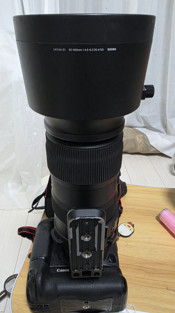 Canon EOS 5D Mark Ⅳに超望遠ズームレンズ｜SIGMA SPORTS 60-600mm F4.5-6.3 DG OS HSMを装着した状態の写真