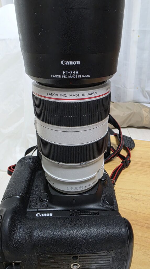 Canon EOS 5D Mark IVに望遠ズームレンズ｜Canon EF70-300mm F4-5.6L IS USMを装着した状態の写真