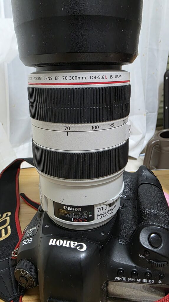 Canon EOS 5D Mark IVに望遠ズームレンズ｜Canon EF70-300mm F4-5.6L IS USMを装着した状態の写真