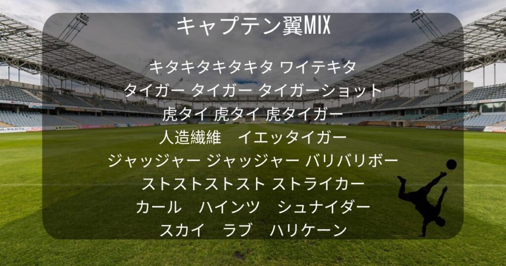 サッカーのフィールド上に以下のテキストが埋め込まれている。 キャプテン翼MIX キタキタ キタキタ ワイテキタ タイガー タイガー タイガーショット 虎タイ 虎タイ 虎タイガー 人造繊維　イエッタイガー ジャッジャー ジャッジャー バリバリボー ストストストスト ストライカー カール　ハインツ　シュナイダー スカイ　ラブ　ハリケーン