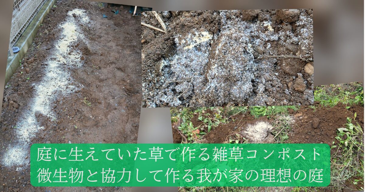 米ぬかと腐葉土で作る「雑草コンポスト」の魔法｜対粘土質土壌、微生物との共同戦線 04 | ちょこののーと