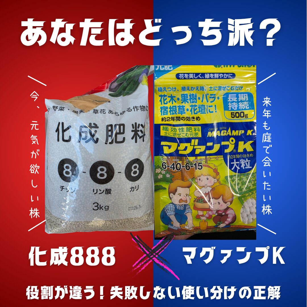 化成肥料888とマグァンプKの写真を対比で並べ、「あなたはどっち派？化成肥料888に「今、元気が欲しい株」マグァンプに「来年も庭で会いたい株」役割が違う！失敗しない使い分けの正解」というテキストが埋め込まれている。