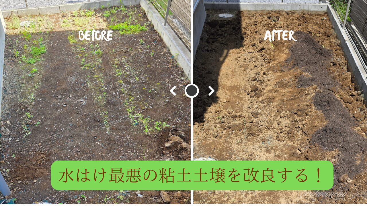 左側にBEFOREとしてまだ手付かずの平らな庭、右側にAFTERとしていったん掘り返して腐葉土を漉き込もうとしている庭。「水はけ最悪の粘土土壌を改良する！」というテキストが埋め込まれている。